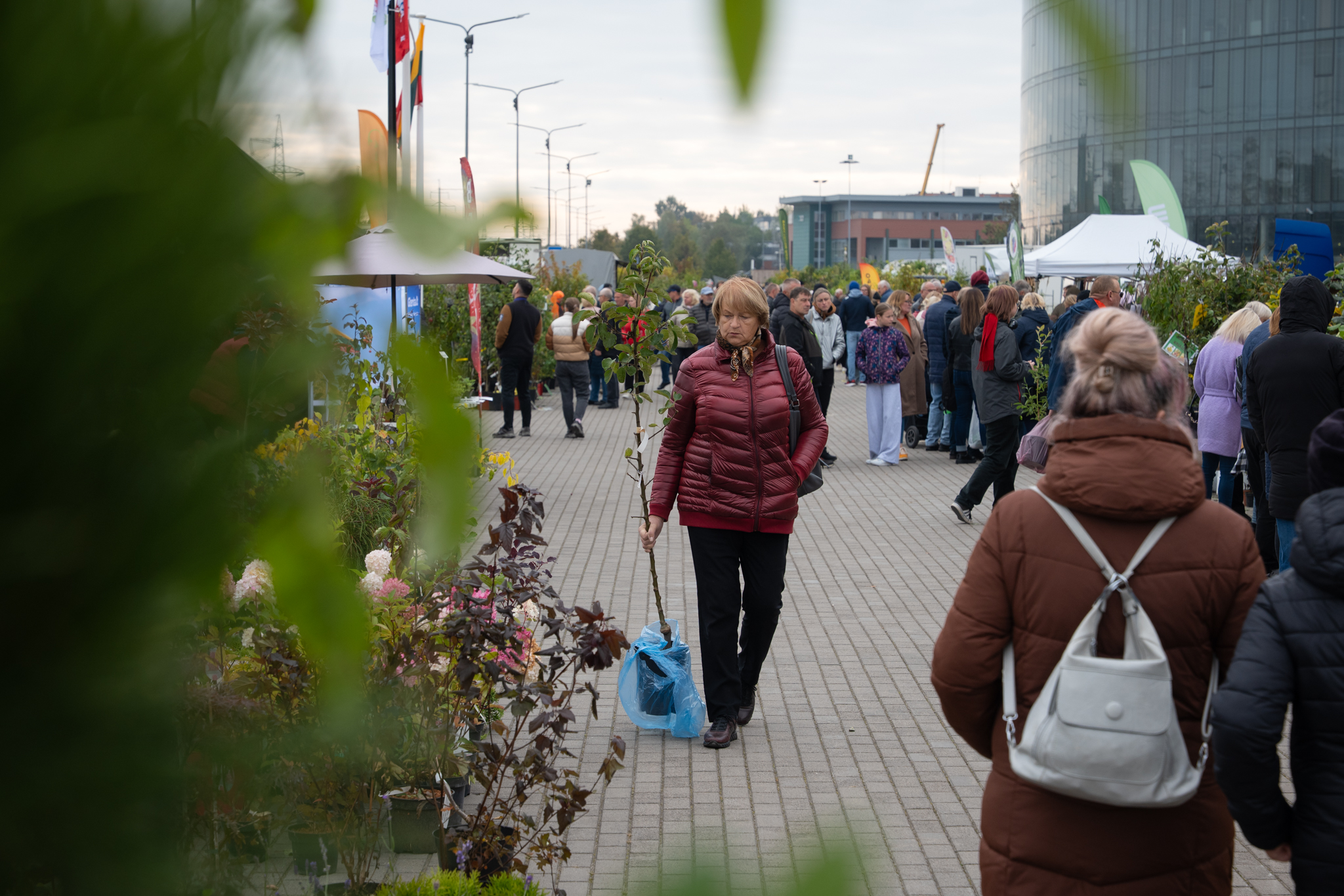 Aš sodinu 25.10.04 Šiauliai-47