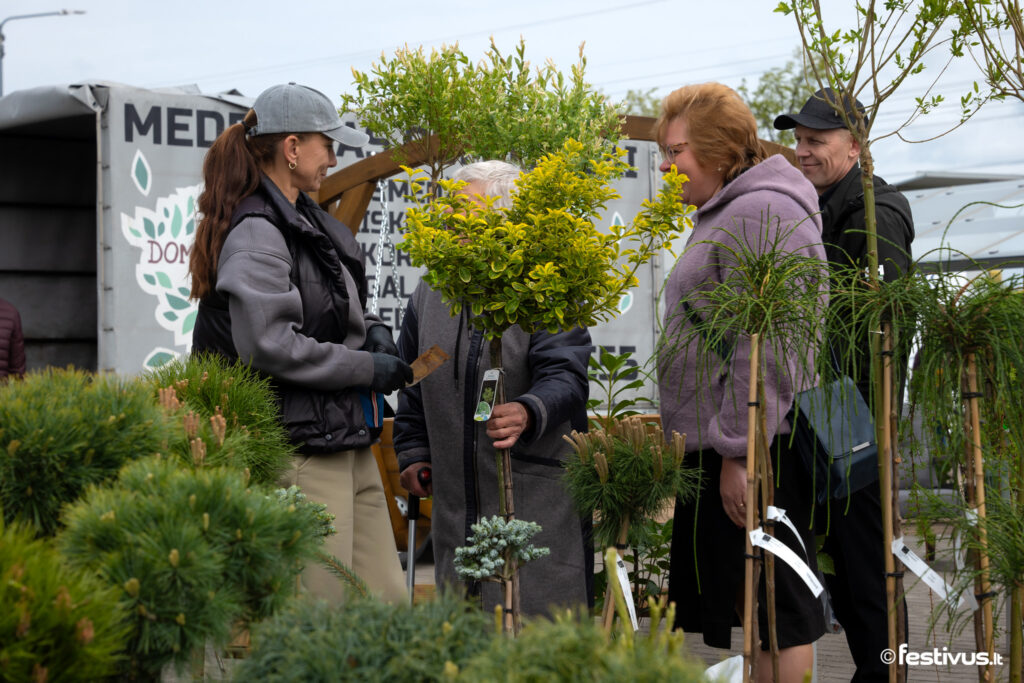 Lietuvos žymiausi sodininkai ir medelynai atvyksta į Šiaulius